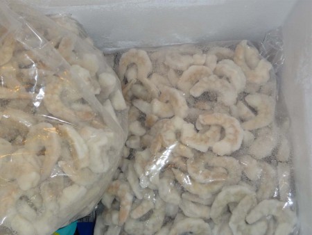 Shrimp